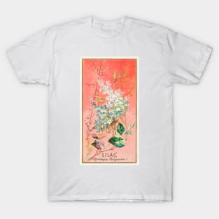 Lilac (Syringa Vulgaris) T-Shirt